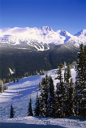 simsearch:700-00015162,k - Whistler Mountain Whistler, British Columbia Canada Foto de stock - Con derechos protegidos, Código: 700-00015162