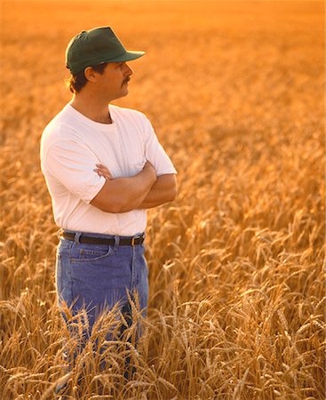 simsearch:700-00556591,k - Homme debout dans le champ de blé avec bras croisés Photographie de stock - Rights-Managed, Code: 700-00015570