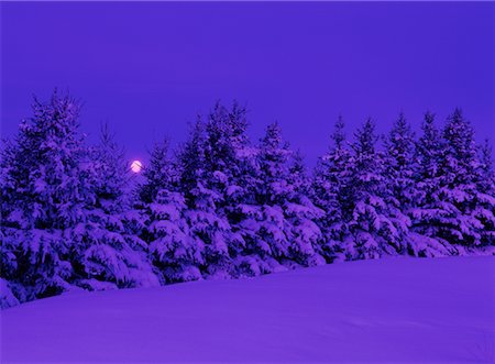 Pleine lune près de Sherwood Park (Alberta), Canada Photographie de stock - Rights-Managed, Code: 700-00015713