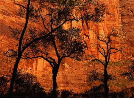 simsearch:700-00187462,k - Temple of Sinawava Zion National Park Utah, USA Stock Photo - Rights-Managed, Code: 700-00016109