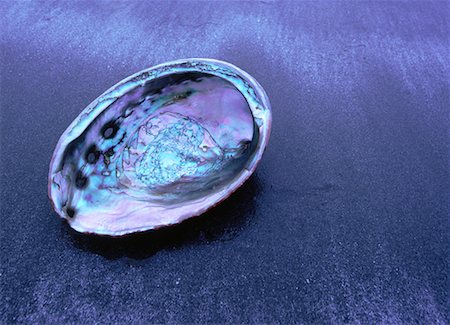 Abalone Shell, Mother of Pearl Fotografie stock - Rights-Managed, Codice: 700-00016438