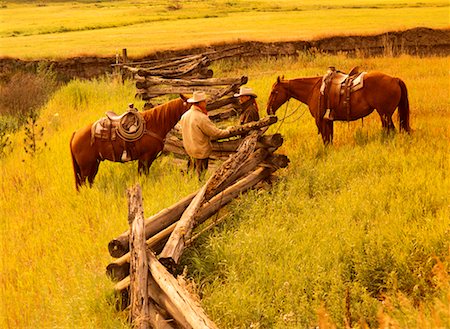 Men with Horses Douglas Lake Ranch British Columbia, Canada Stock Photo - Rights-Managed, Code: 700-00016523