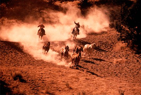 Men Riding Horses Foto de stock - Con derechos protegidos, Código: 700-00018336