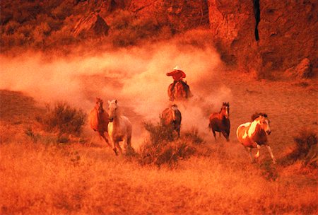 simsearch:700-00019982,k - Cowboy Rustling Up Horses Stock Photo - Rights-Managed, Code: 700-00018337