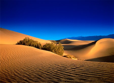 simsearch:700-02913160,k - Sand Dunes, Death Valley, Californie, Etats-Unis Photographie de stock - Rights-Managed, Code: 700-00018660
