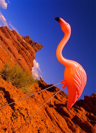 flamenco rosa - Plastic Pink Flamingo Valley of the Gods Utah, USA Foto de stock - Con derechos protegidos, Código: 700-00018840