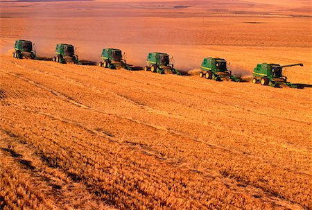 Combines in Field Foto de stock - Con derechos protegidos, Código: 700-00018978