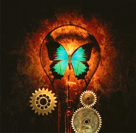 simsearch:700-00035146,k - Butterfly in Lightbulb and Gears Foto de stock - Con derechos protegidos, Código: 700-00019327