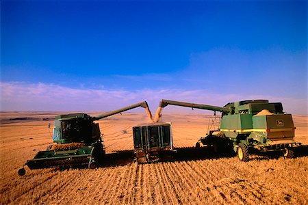 simsearch:700-00002957,k - Combine Harvesting Foto de stock - Con derechos protegidos, Código: 700-00019816