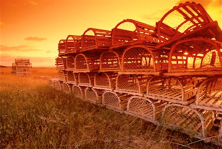 put out to pasture - Lobster Traps in Field at Sunrise Seacow Pond Prince Edward Island, Canada Stock Photo - Rights-Managed, Code: 700-00019841