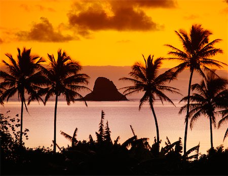 simsearch:400-06391615,k - Silhouette of Trees and Chinamans Hat Oahu, Hawaii, USA Stock Photo - Rights-Managed, Code: 700-00010024