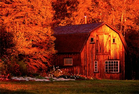 Barn and Trees in Autumn Shampers Bluff New Brunswick, Canada Stock Photo - Rights-Managed, Code: 700-00010562