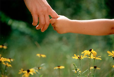 rudbeckia - Adult and Child Holding Hands Stock Photo - Rights-Managed, Code: 700-00010772