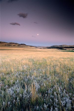 Full Moon, Whaleback Grassland Near Pincher Creek, Alberta Canada Stock Photo - Rights-Managed, Code: 700-00011617