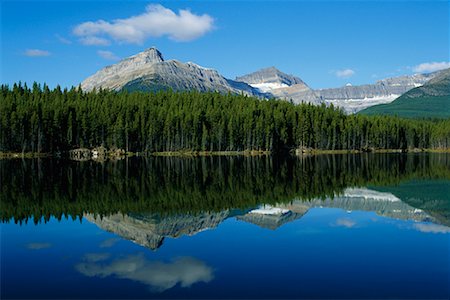 simsearch:700-00152850,k - Herbert Lake Banff National Park Alberta, Canada Foto de stock - Con derechos protegidos, Código: 700-00012217