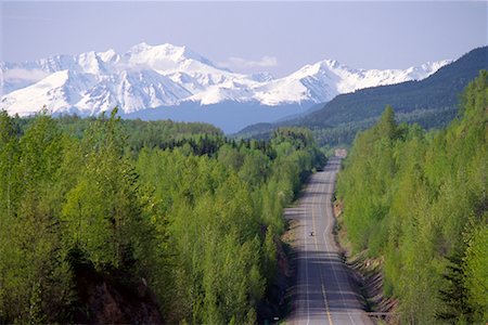 deciduous tree aerial view - Yellowhead Highway British Columbia, Canada Foto de stock - Con derechos protegidos, Código: 700-00012610