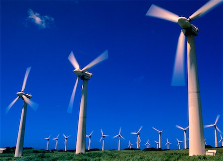 simsearch:649-07063467,k - Wind Turbines Insel Hawaii, Hawaii, USA Stockbilder - Lizenzpflichtiges, Bildnummer: 700-00026024