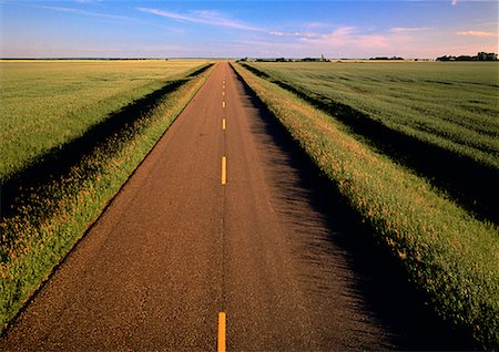 Country Road and Field Nesbitt, Manitoba, Canada Stock Photo - Rights-Managed, Code: 700-00026741
