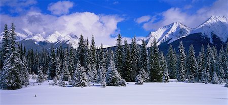 simsearch:700-00318646,k - Forêt et les montagnes en hiver le Parc National Yoho en Colombie-Britannique, Canada Photographie de stock - Rights-Managed, Code: 700-00027391