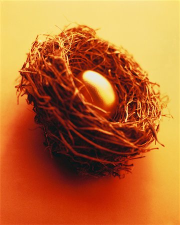 simsearch:700-00549353,k - Golden Egg in Nest Stock Photo - Rights-Managed, Code: 700-00027754