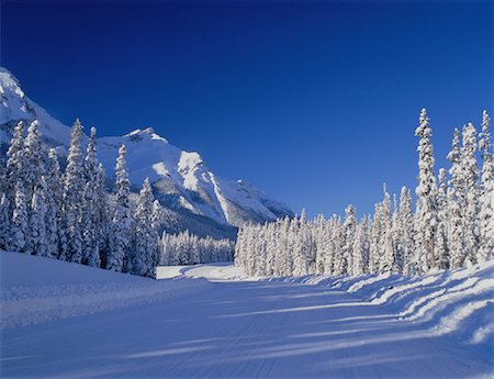 simsearch:700-06383810,k - Route de montagne en hiver Kananaskis Country, Alberta Canada Photographie de stock - Rights-Managed, Code: 700-00028646