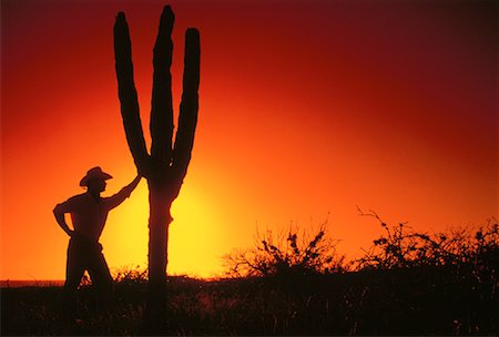 Silhouette of Cowboy Leaning on Cactus at Sunset Baja, California, Mexico Stock Photo - Rights-Managed, Code: 700-00020048