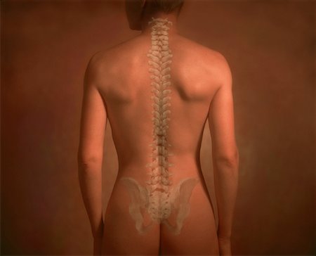 Woman's Back and Spine Stock Photo - Rights-Managed, Code: 700-00021465