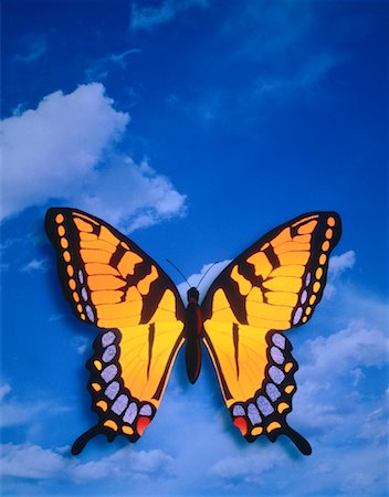 symmetrical animals - Butterfly Stock Photo - Rights-Managed, Code: 700-00021956