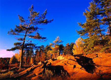 Parc Provincial Sturgeon Bay en automne (Ontario), Canada Photographie de stock - Rights-Managed, Code: 700-00021985
