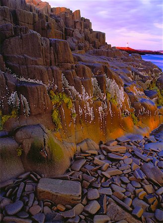 Coucher de soleil sur le rivage Brier Island, Nova Scotia, Canada Photographie de stock - Rights-Managed, Code: 700-00021989