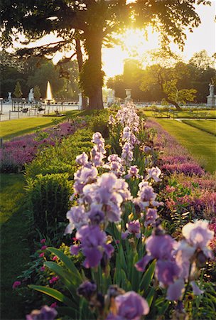 simsearch:700-00169460,k - Jardin des Tuileries au coucher du soleil, Paris, France Photographie de stock - Rights-Managed, Code: 700-00022127