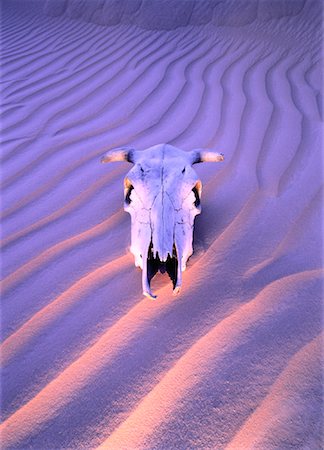 skull western - Cow's Skull on Sand Stock Photo - Rights-Managed, Code: 700-00022240