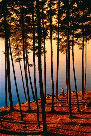 Child by Lake at Sunset Jack Lake, near Apsley The Kawarthas, Ontario, Canada Stock Photo - Rights-Managed, Code: 700-00022365