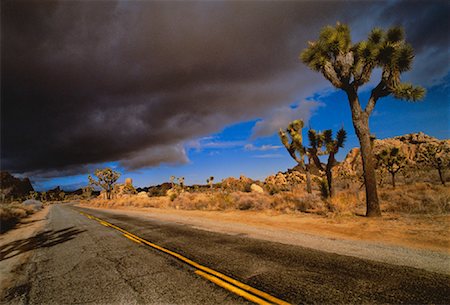 désert de mojave - Nuage d'orage au-dessus autoroute désert Mojave Desert, California, USA Photographie de stock - Rights-Managed, Code: 700-00022994