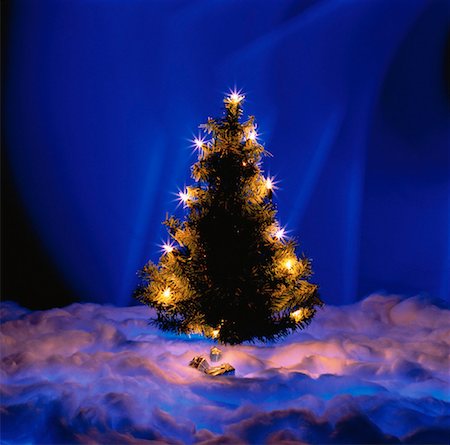 simsearch:700-00015661,k - Arbre de Noël Photographie de stock - Rights-Managed, Code: 700-00023021