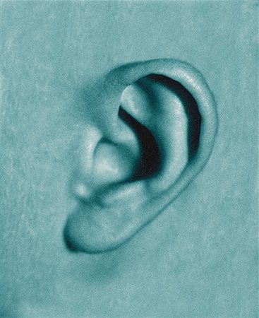 simsearch:700-00023177,k - Close-Up of Baby's Ear Stock Photo - Rights-Managed, Code: 700-00023179