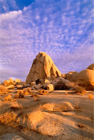 simsearch:610-00798764,k - Joshua Tree National Park, au coucher du soleil en Californie, USA Photographie de stock - Rights-Managed, Code: 700-00023206