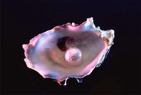 extravagant jewels and gems - Oyster Shell with Pearl Stock Photo - Rights-Managed, Code: 700-00023301
