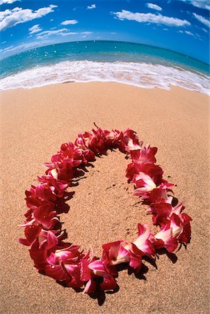 simsearch:700-00024352,k - Hawaiian Lei on Beach Makena Beach, Maui, Hawaii, USA Foto de stock - Con derechos protegidos, Código: 700-00023859