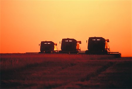 saskatchewan grain farm photos - Harvesting Wheat at Sunset Saskatchewan, Canada Stock Photo - Rights-Managed, Code: 700-00036104