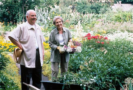 Mature Couple Gardening Stock Photo - Rights-Managed, Code: 700-00038119