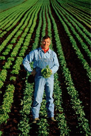 Portrait of Lettuce Farmer Holland Marsh, Ontario, Canada Foto de stock - Con derechos protegidos, Código: 700-00039061