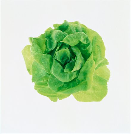 salad greens on white background - Lettuce Stock Photo - Rights-Managed, Code: 700-00030470