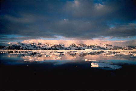 simsearch:700-00169204,k - Ouvrez les îles Orcades de banquise du Sud, Antarctique Photographie de stock - Rights-Managed, Code: 700-00031759