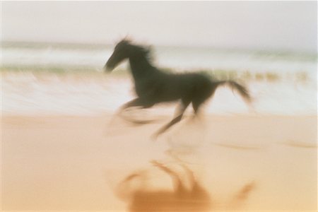 Blurred View of Horse Running on Beach Foto de stock - Con derechos protegidos, Código: 700-00031861