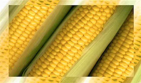 simsearch:700-00543669,k - Close-Up of Corn Foto de stock - Direito Controlado, Número: 700-00032890