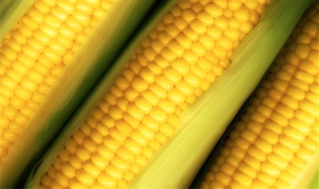 simsearch:700-00543669,k - Close-Up of Corn Foto de stock - Direito Controlado, Número: 700-00032891