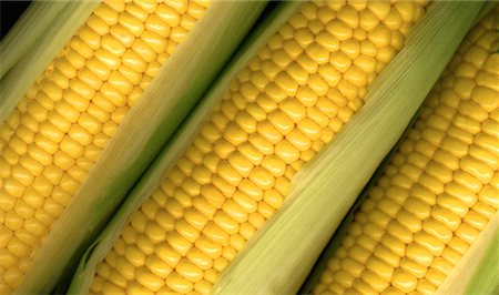 simsearch:700-00543669,k - Close-Up of Corn Foto de stock - Direito Controlado, Número: 700-00032892