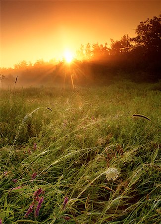 simsearch:700-00151157,k - Sunrise over Field Near Gananoque, Ontario, Canada Stock Photo - Rights-Managed, Code: 700-00033571