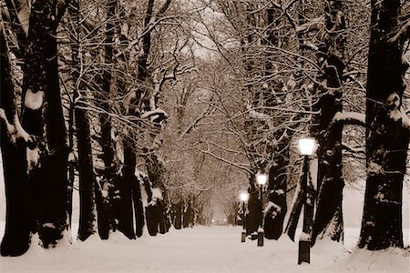 snowy road tree line - Hellbrunn Alley in Winter Salzburg, Austria Stock Photo - Rights-Managed, Code: 700-00033730